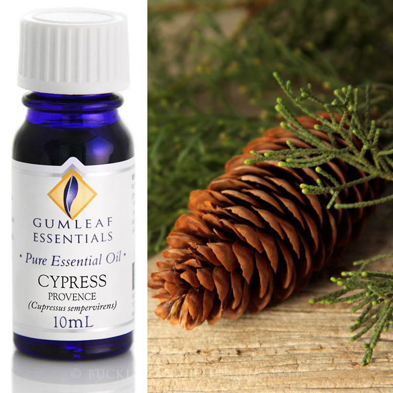 Cypress Provence Essential Oil