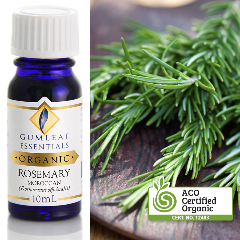 Organic Rosemary Moroccan Essential Oil