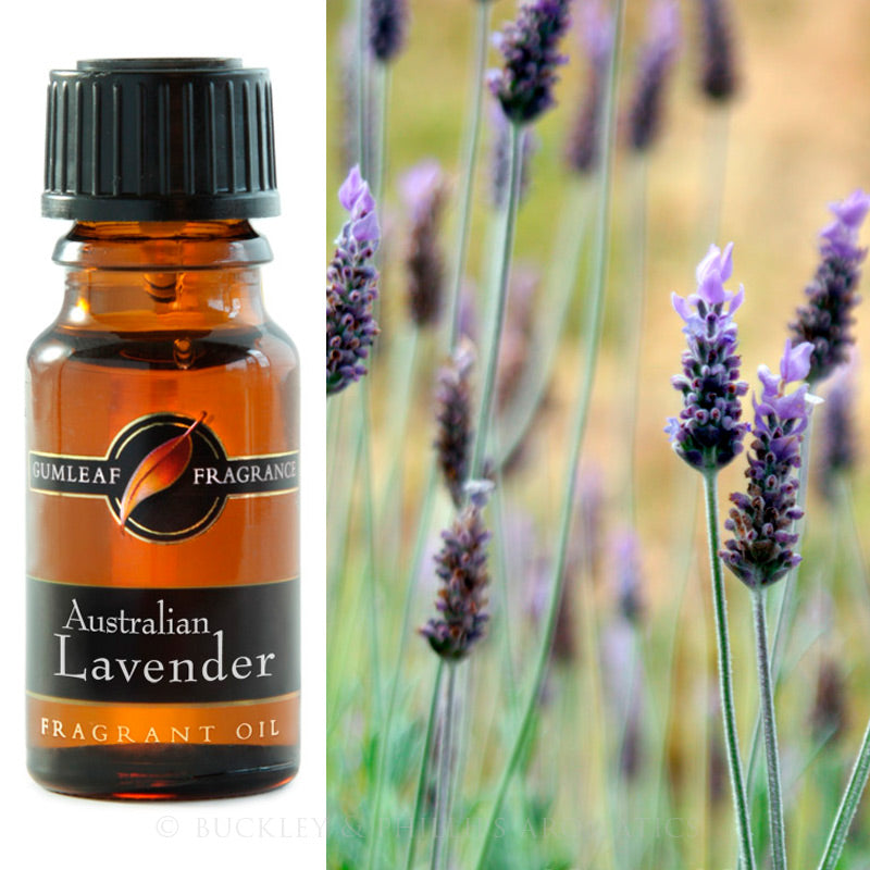 Australian Lavender Fragrance Oil