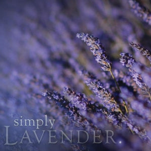 Simply Incense | Lavender Incense | Buckley &amp; Phillips