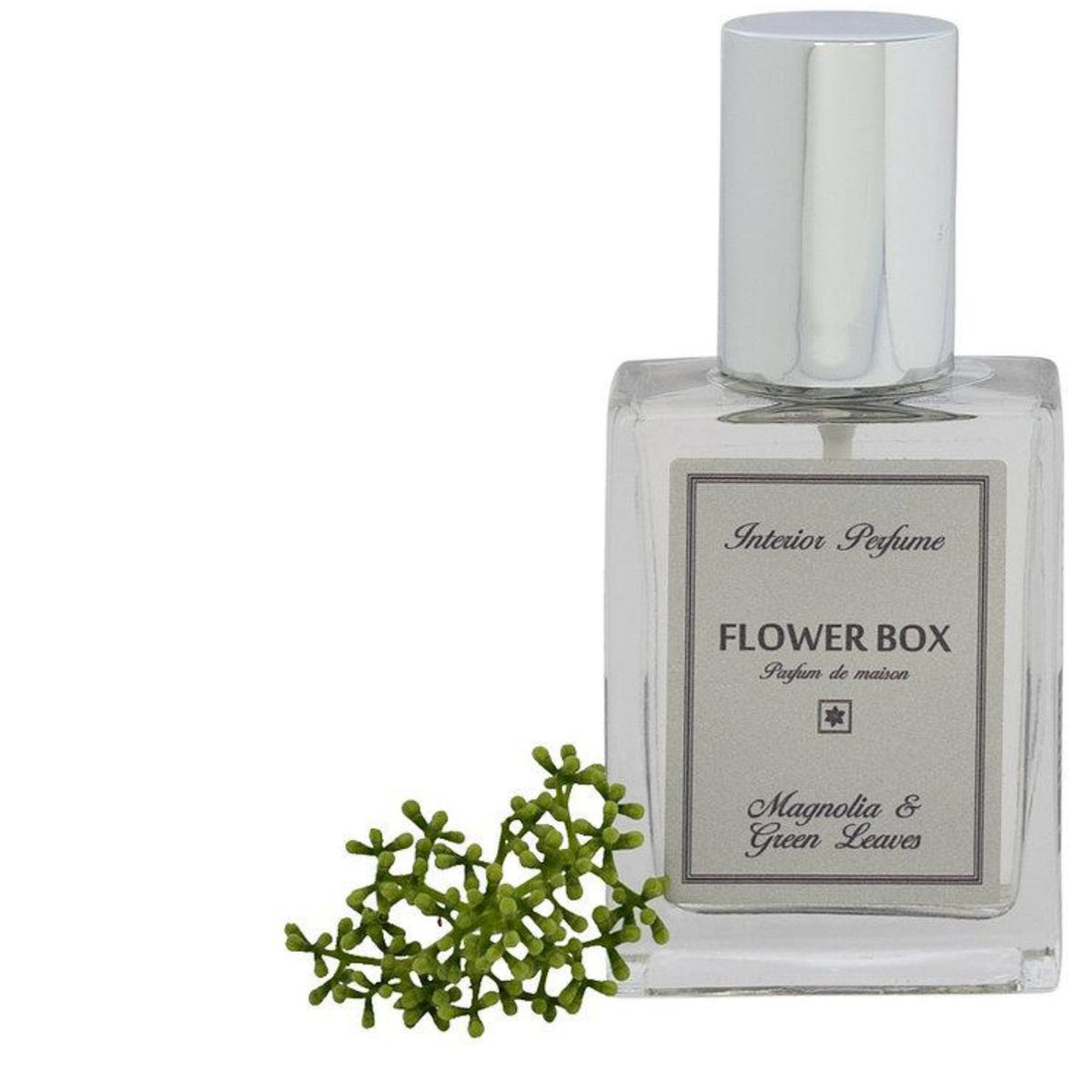 Flower Box Interior Perfume 100ml | Magnolia &amp; Green Leaves