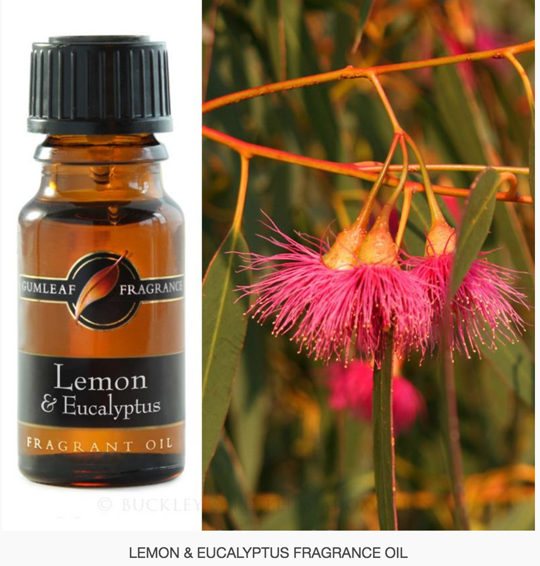 Lemon &amp; Eucalyptus Fragrance Oil